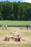 IMG 3282