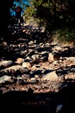 Bandita2012 Grizzly-134