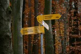 IMG 5435